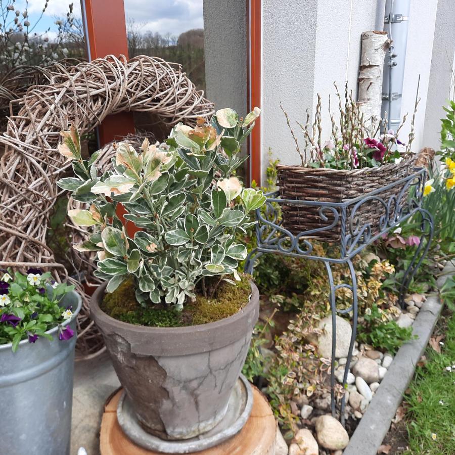 Penzion Zahrada Nad Rekou, Restaurace A Kavarna - Parkovani Gratis Zlatá Koruna Exterior foto