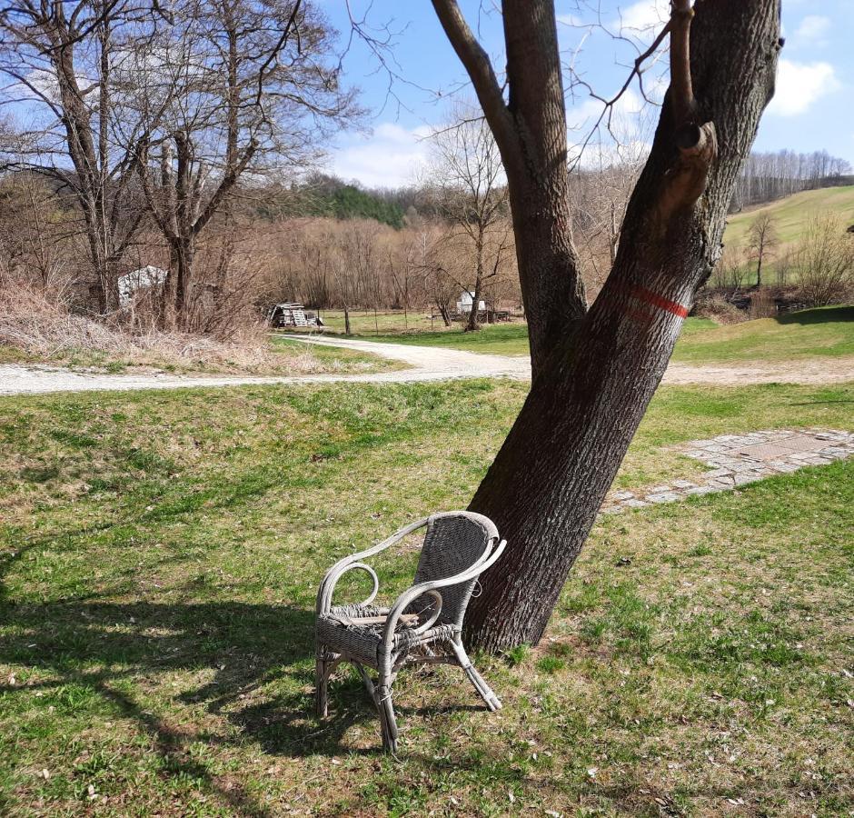 Penzion Zahrada Nad Rekou, Restaurace A Kavarna - Parkovani Gratis Zlatá Koruna Exterior foto